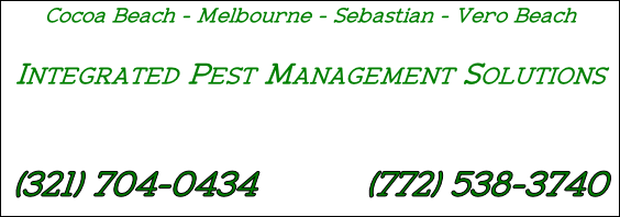 Cocoa Beach - Melbourne - Sebastian - Vero Beach

Integrated Pest Management Solutions


(321) 704-0434          (772) 538-3740 erat volutpat. Praesent odio nisl, suscipit at, rhoncus sit amet, porttitor sit 
